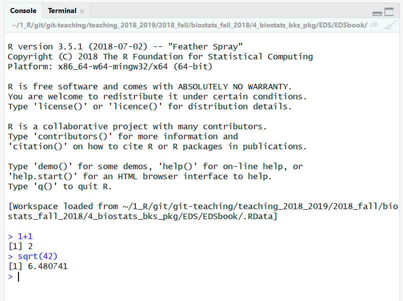 The RStudio console