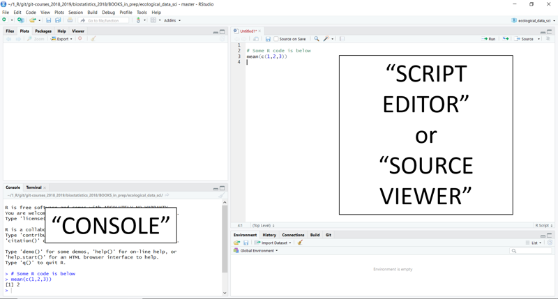 RStudio's console and script editor.